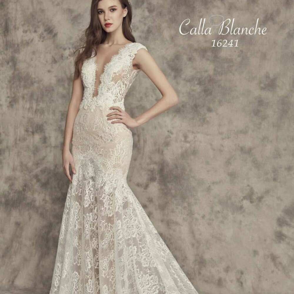 Calla Blanche - Bella